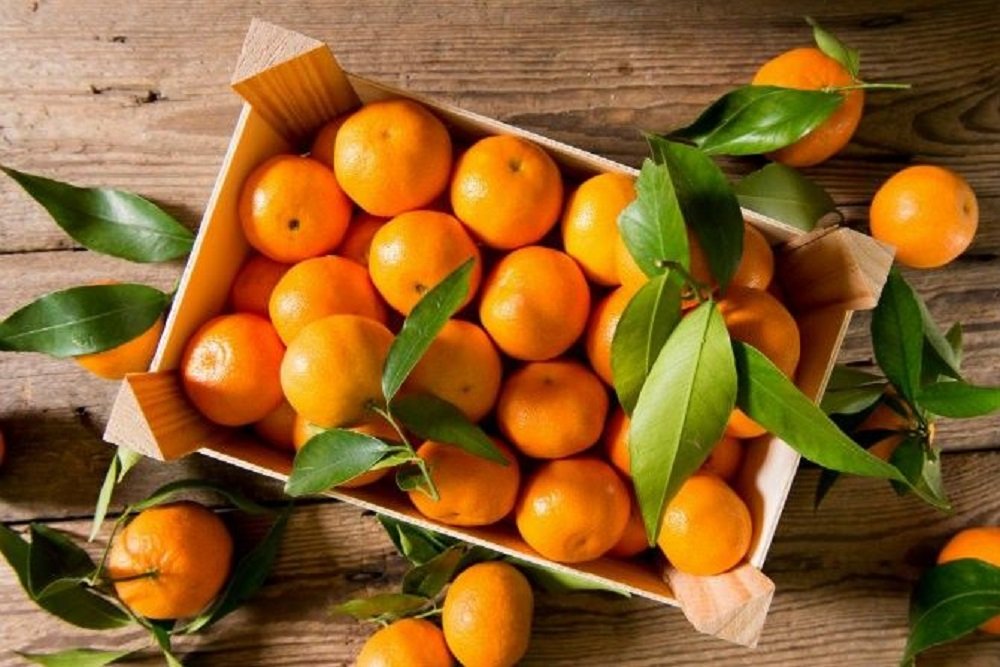 Mandarin 500 qr